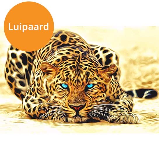 Luipaard (1)