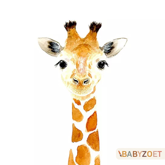 Giraf Babyzoet