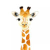 Serie Babyzoet Giraf Schilderen Op Nummers